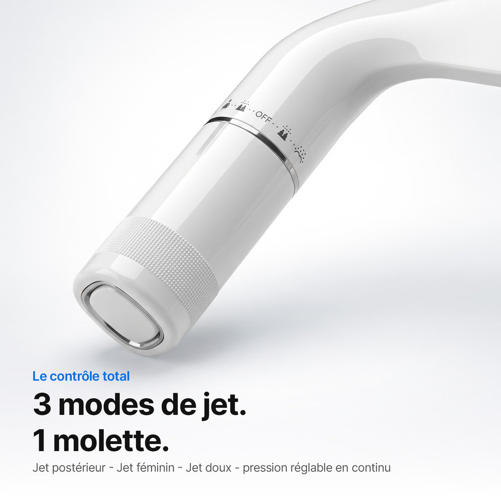 Le bidet japonais